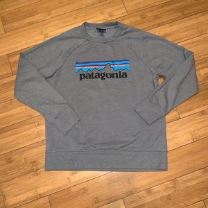 Youth Patagonia Sweatshirt
